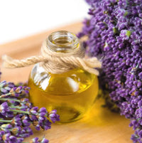 Lavender Oil