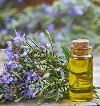 Rosemary Oil